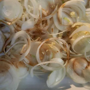 Frozen Onion (27)-7616025-40869.webp